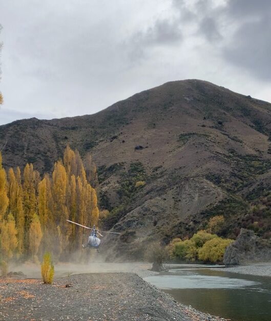 A helicopter landing at Quail Flat among autumn trees